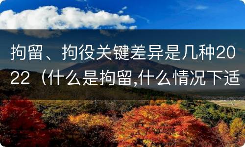 拘留、拘役关键差异是几种2022（什么是拘留,什么情况下适用拘留）