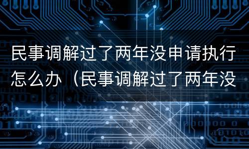 民事调解过了两年没申请执行怎么办（民事调解过了两年没申请执行怎么办呢）