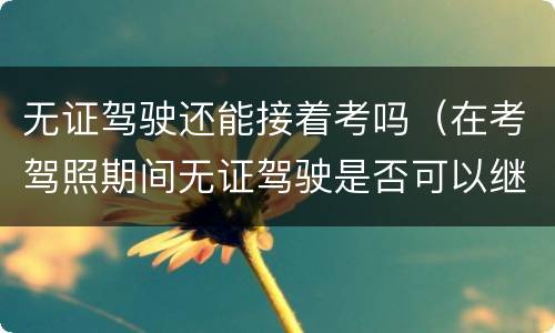 无证驾驶还能接着考吗（在考驾照期间无证驾驶是否可以继续考驾照）