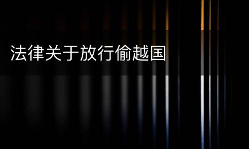 法律关于放行偷越国