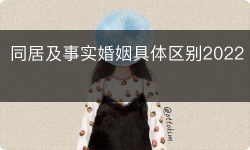 同居及事实婚姻具体区别2022