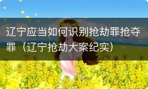 辽宁应当如何识别抢劫罪抢夺罪（辽宁抢劫大案纪实）