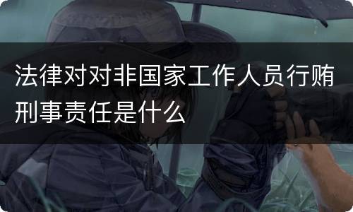 法律对对非国家工作人员行贿刑事责任是什么