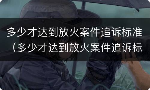 多少才达到放火案件追诉标准（多少才达到放火案件追诉标准呢）