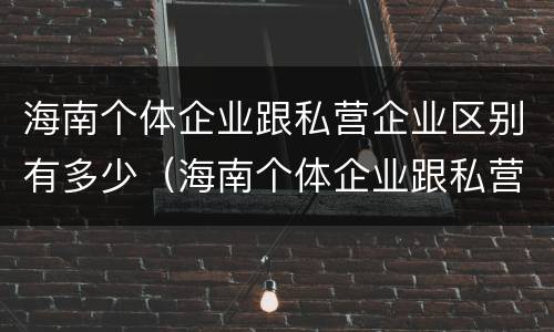 海南个体企业跟私营企业区别有多少（海南个体企业跟私营企业区别有多少个）