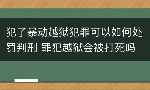 犯了暴动越狱犯罪可以如何处罚判刑 罪犯越狱会被打死吗