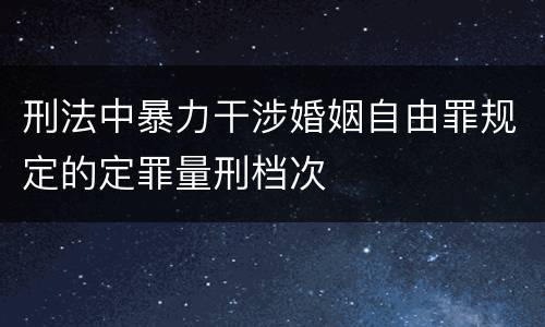 刑法中暴力干涉婚姻自由罪规定的定罪量刑档次