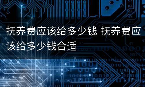 抚养费应该给多少钱 抚养费应该给多少钱合适