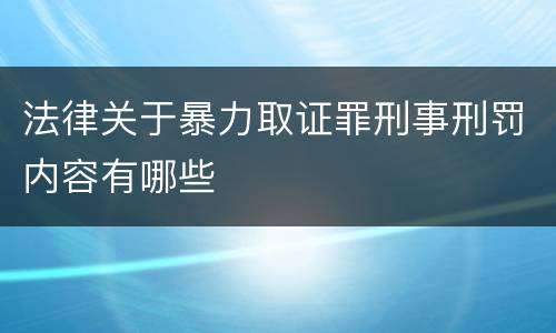 法律关于暴力取证罪刑事刑罚内容有哪些