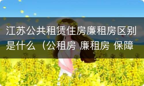 江苏公共租赁住房廉租房区别是什么（公租房 廉租房 保障性住房区别）