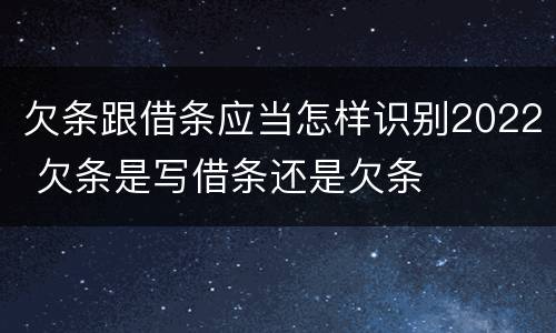 欠条跟借条应当怎样识别2022 欠条是写借条还是欠条