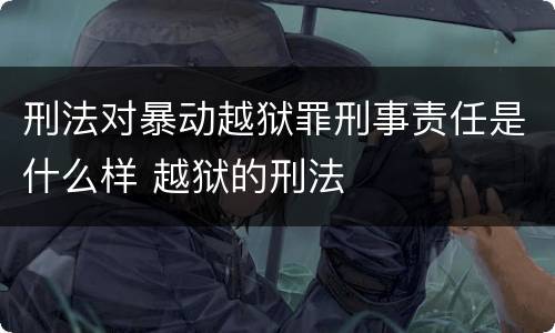 刑法对暴动越狱罪刑事责任是什么样 越狱的刑法