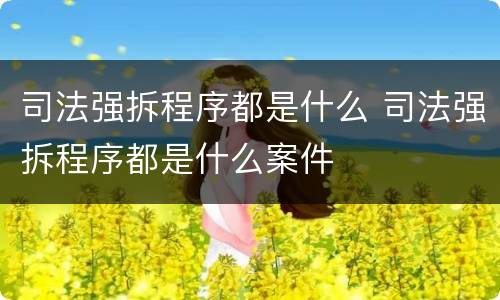 司法强拆程序都是什么 司法强拆程序都是什么案件