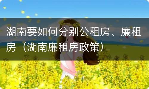 湖南要如何分别公租房、廉租房（湖南廉租房政策）