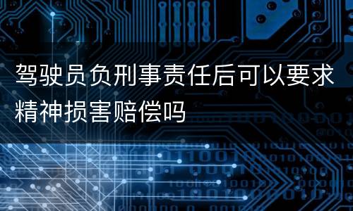 驾驶员负刑事责任后可以要求精神损害赔偿吗