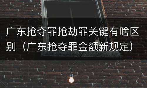 广东抢夺罪抢劫罪关键有啥区别（广东抢夺罪金额新规定）
