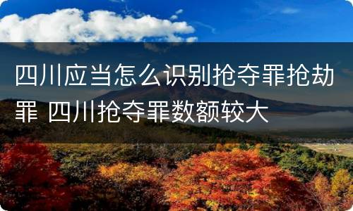 四川应当怎么识别抢夺罪抢劫罪 四川抢夺罪数额较大
