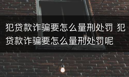 犯贷款诈骗要怎么量刑处罚 犯贷款诈骗要怎么量刑处罚呢