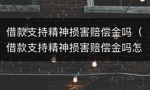 借款支持精神损害赔偿金吗（借款支持精神损害赔偿金吗怎么算）