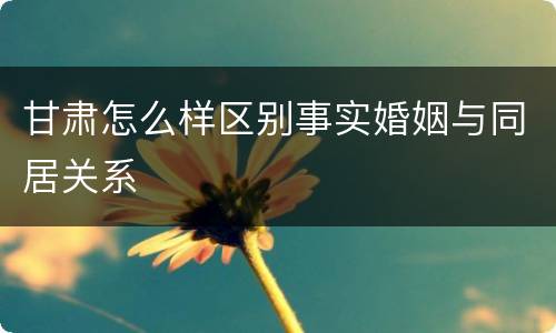 甘肃怎么样区别事实婚姻与同居关系