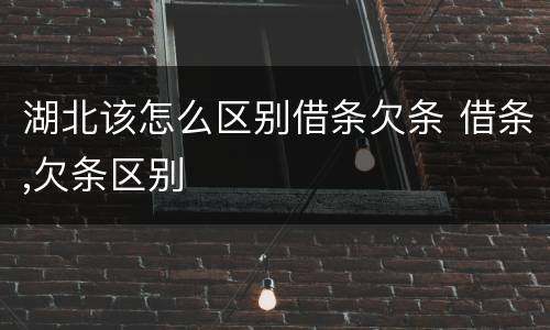 湖北该怎么区别借条欠条 借条,欠条区别