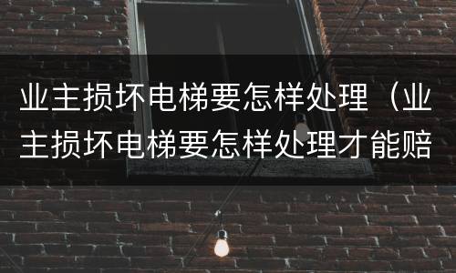 业主损坏电梯要怎样处理（业主损坏电梯要怎样处理才能赔偿）