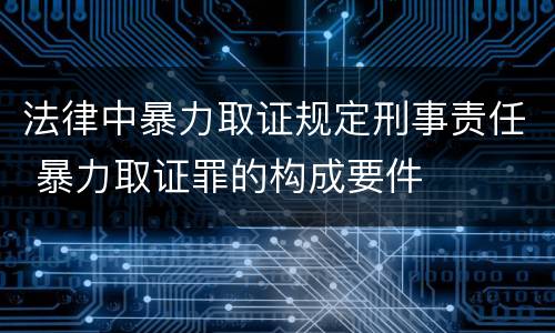 法律中暴力取证规定刑事责任 暴力取证罪的构成要件