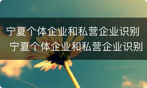 宁夏个体企业和私营企业识别 宁夏个体企业和私营企业识别区别