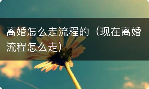 离婚怎么走流程的（现在离婚流程怎么走）