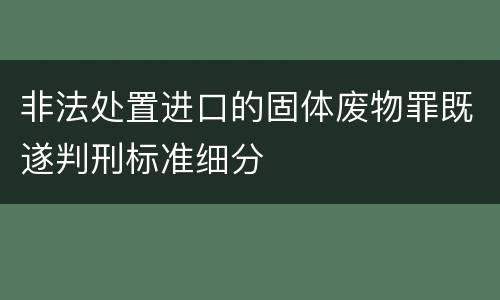 非法处置进口的固体废物罪既遂判刑标准细分