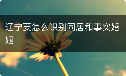 辽宁要怎么识别同居和事实婚姻