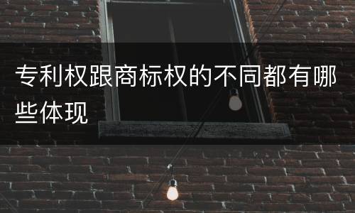 专利权跟商标权的不同都有哪些体现