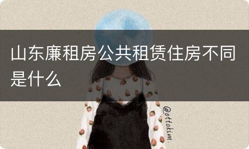山东廉租房公共租赁住房不同是什么
