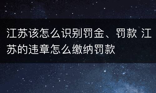 江苏该怎么识别罚金、罚款 江苏的违章怎么缴纳罚款