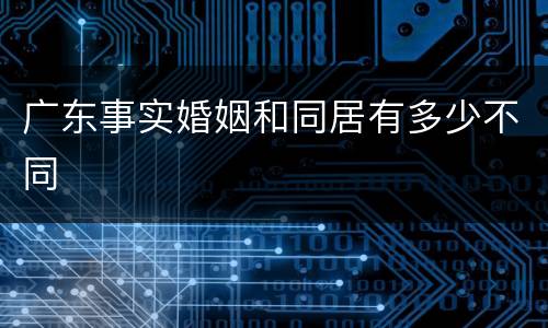 广东事实婚姻和同居有多少不同