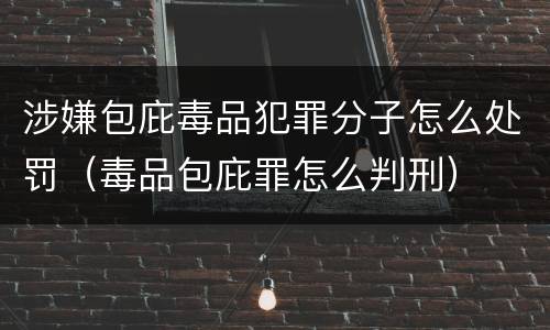 涉嫌包庇毒品犯罪分子怎么处罚（毒品包庇罪怎么判刑）
