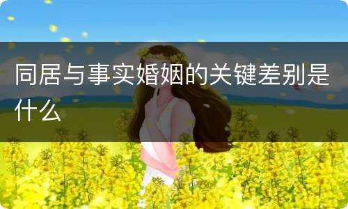 同居与事实婚姻的关键差别是什么