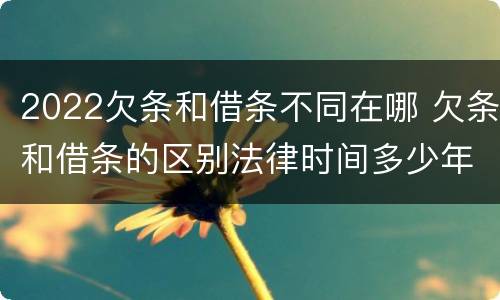 2022欠条和借条不同在哪 欠条和借条的区别法律时间多少年