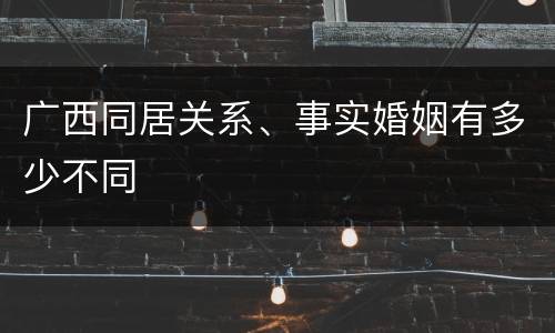 广西同居关系、事实婚姻有多少不同