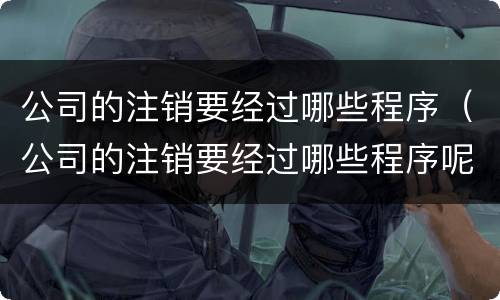 公司的注销要经过哪些程序（公司的注销要经过哪些程序呢）