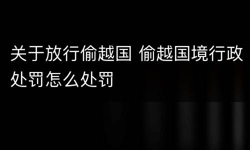关于放行偷越国 偷越国境行政处罚怎么处罚