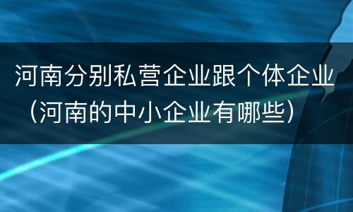 河南分别私营企业跟个体企业（河南的中小企业有哪些）