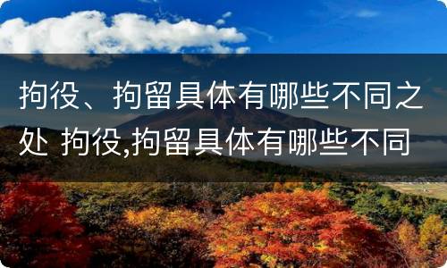 拘役、拘留具体有哪些不同之处 拘役,拘留具体有哪些不同之处和特点