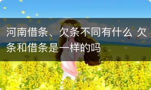 河南借条、欠条不同有什么 欠条和借条是一样的吗