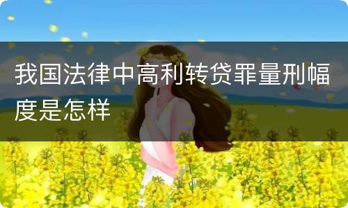 我国法律中高利转贷罪量刑幅度是怎样