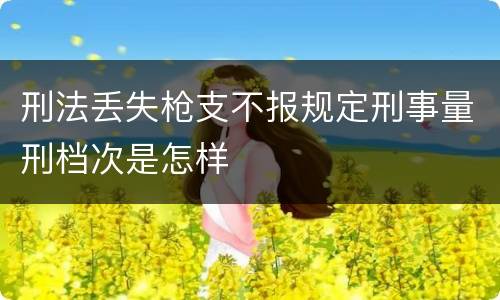 刑法丢失枪支不报规定刑事量刑档次是怎样