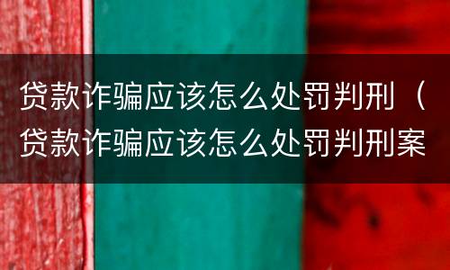 贷款诈骗应该怎么处罚判刑（贷款诈骗应该怎么处罚判刑案例）