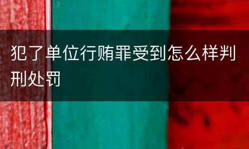 犯了单位行贿罪受到怎么样判刑处罚