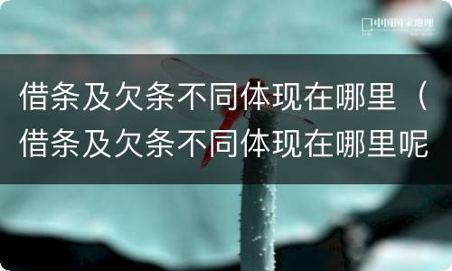 借条及欠条不同体现在哪里（借条及欠条不同体现在哪里呢）