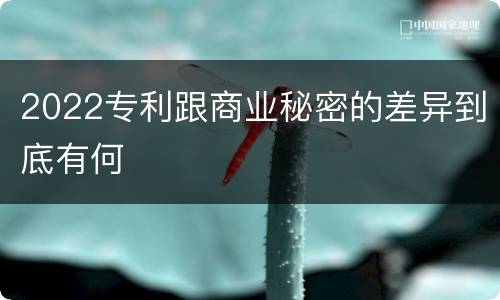 2022专利跟商业秘密的差异到底有何